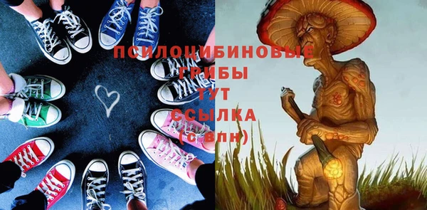 МДПВ Вязьма