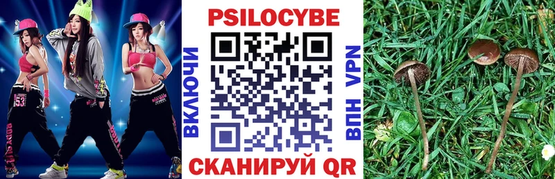 Псилоцибиновые грибы ЛСД  Купить  Неман 